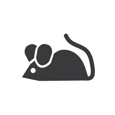 Animal Safety Icon
